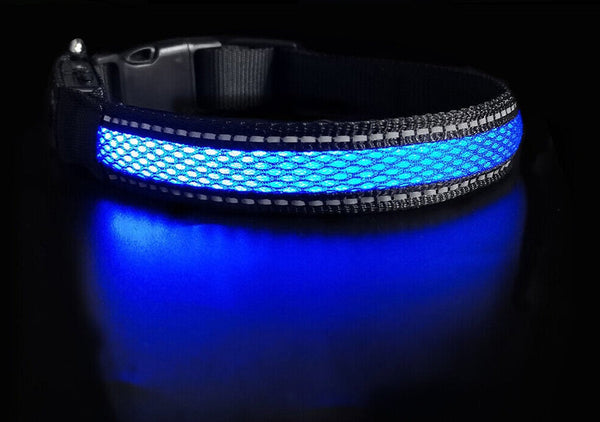 LED Dog Collar