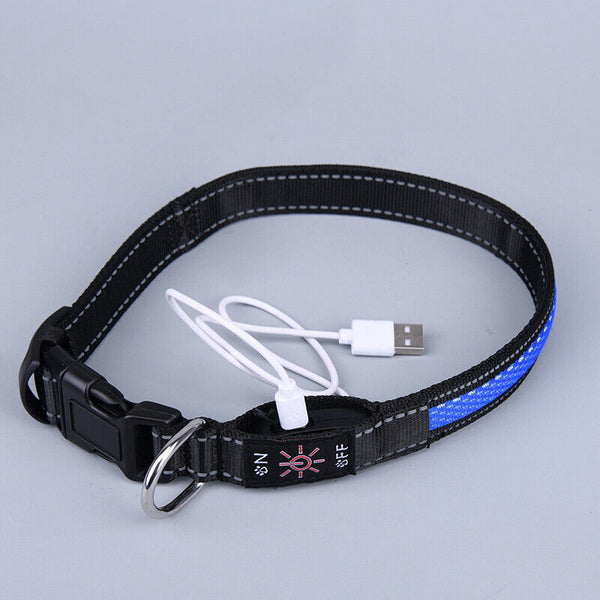 LED Dog Collar