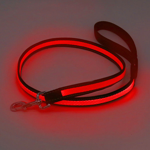 LED Dog Lead